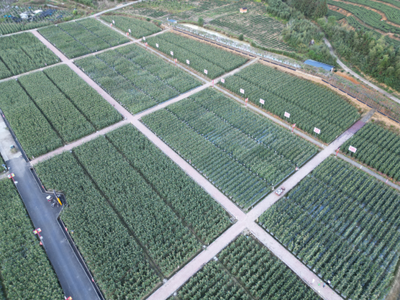 福建圓旺元種子集團蔬菜種業(yè)科技小院成功入圍中國農(nóng)技科技小院名單